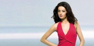 List of Top Hottest Punjabi Actresses surveen chawla - hottest punjabi actresses