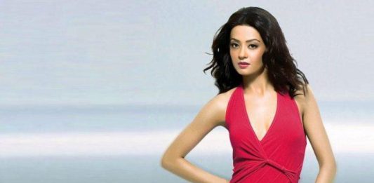 List of Top Hottest Punjabi Actresses surveen chawla - hottest punjabi actresses