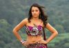 Trisha Krishnan – The Gorgeous South Indian Actress Trisha Krishnan