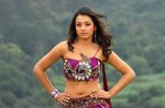 Trisha Krishnan – The Gorgeous South Indian Actress Trisha Krishnan