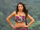 Trisha Krishnan – The Gorgeous South Indian Actress Trisha Krishnan