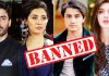 Films With Pakistani Artists Banned By Cinema Owners Association pakistani artists banned