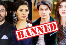 Films With Pakistani Artists Banned By Cinema Owners Association pakistani artists banned