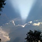 LIFE, HOPE AND A LITTLE SUGAR ray of hope