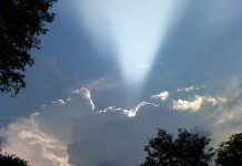 LIFE, HOPE AND A LITTLE SUGAR ray of hope