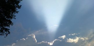 LIFE, HOPE AND A LITTLE SUGAR ray of hope