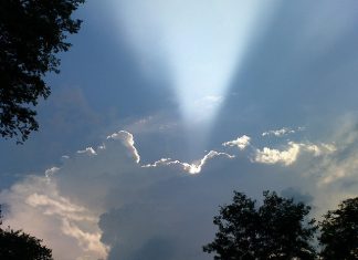 LIFE, HOPE AND A LITTLE SUGAR ray of hope