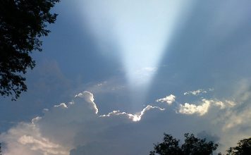 LIFE, HOPE AND A LITTLE SUGAR ray of hope
