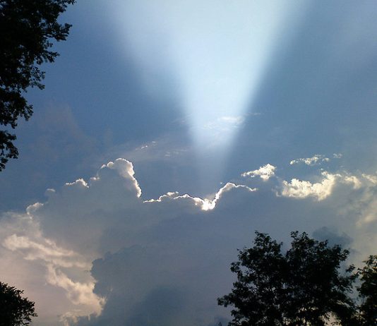 LIFE, HOPE AND A LITTLE SUGAR ray of hope