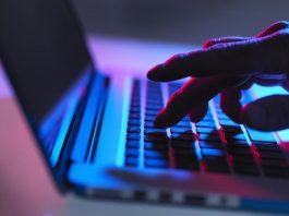550 million Internet scam dupes thousands