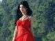 List Of Top Hottest South Indian Actresses shruti-haasan-hottest-south indian actresses