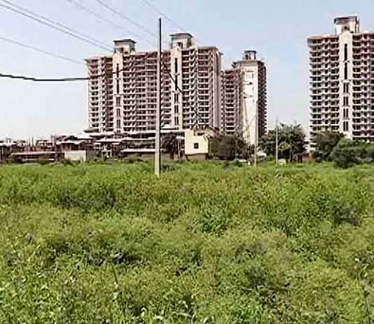 Games Corrupt Play To Dupe Ordinary Citizens – Haryana Land Scam Haryana Land Scam