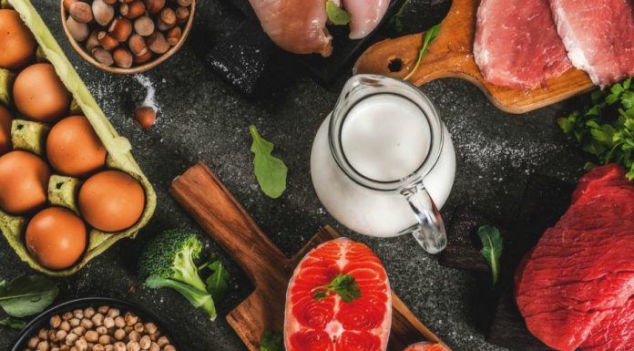 Are High Protein Diets Effective For Weight Loss? high protein diet by shubi husain