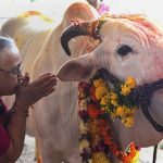 Benefits Of Cow Urine And Panchgavya – Govt Sets Up Panel For Scientific Research Benefits of Cow Urine and Panchgavya