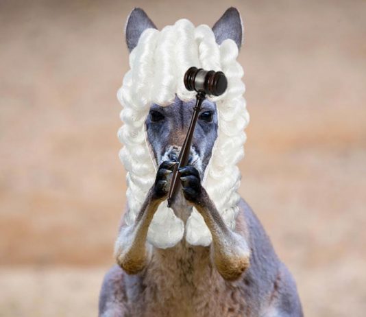 Bizarre! 5 Year Old Girl Forcibly Married To 8 Year Old Boy In Guna, Madhya Pradesh child marriage