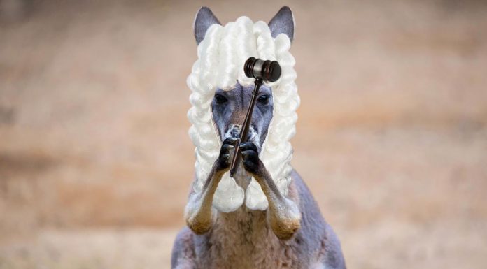 Bizarre! 5 Year Old Girl Forcibly Married To 8 Year Old Boy In Guna, Madhya Pradesh child marriage