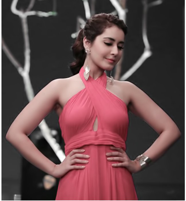 Raashi Khanna displays Suhani Pittie's Silver Accents