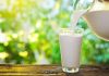 All You Want To Know About Milk – Myths, Misconceptions & Facts cow milk myths busted by shubi husain