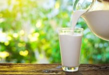 All You Want To Know About Milk – Myths, Misconceptions & Facts cow milk myths busted by shubi husain