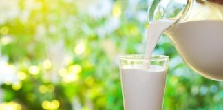 All You Want To Know About Milk – Myths, Misconceptions & Facts cow milk myths busted by shubi husain