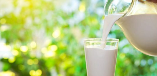 All You Want To Know About Milk – Myths, Misconceptions & Facts cow milk myths busted by shubi husain