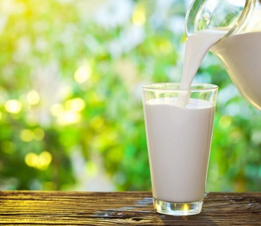All You Want To Know About Milk – Myths, Misconceptions & Facts cow milk myths busted by shubi husain
