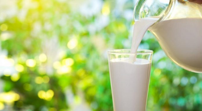 All You Want To Know About Milk – Myths, Misconceptions & Facts cow milk myths busted by shubi husain