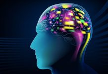 Does Our Gift Choice Affect Brain Maturity In Teenagers – An Analysis Smarter brains in teenagers