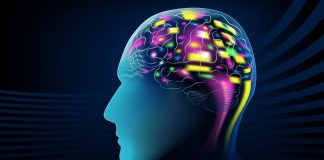 Does Our Gift Choice Affect Brain Maturity In Teenagers – An Analysis Smarter brains in teenagers