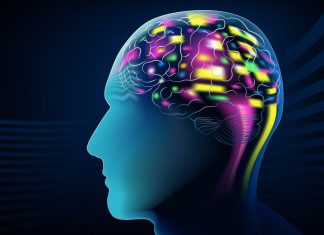 Does Our Gift Choice Affect Brain Maturity In Teenagers – An Analysis Smarter brains in teenagers