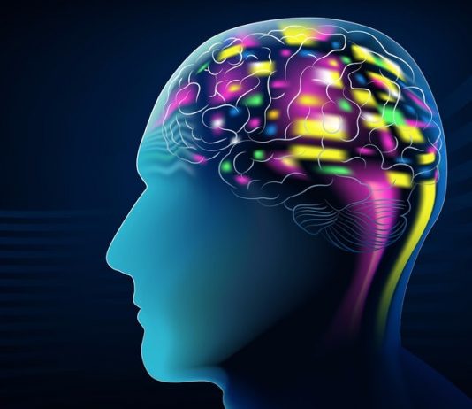 Does Our Gift Choice Affect Brain Maturity In Teenagers – An Analysis Smarter brains in teenagers