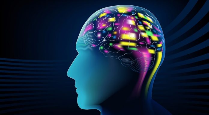 Does Our Gift Choice Affect Brain Maturity In Teenagers – An Analysis Smarter brains in teenagers