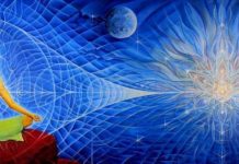 List Of Most Famous And Best Astrologers In Kolkata | N4M Survey best Astrologers in Kolkata