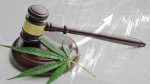 Driving Under The Influence Of Marijuana May Be Downright Dangerous legalized cannabis / marijuana