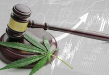 Driving Under The Influence Of Marijuana May Be Downright Dangerous legalized cannabis / marijuana