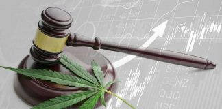 As Nations Legalize & Compete Marijuana Black Markets – Teenagers At A ‘High’ Risk (Article 1/3) legalized cannabis / marijuana