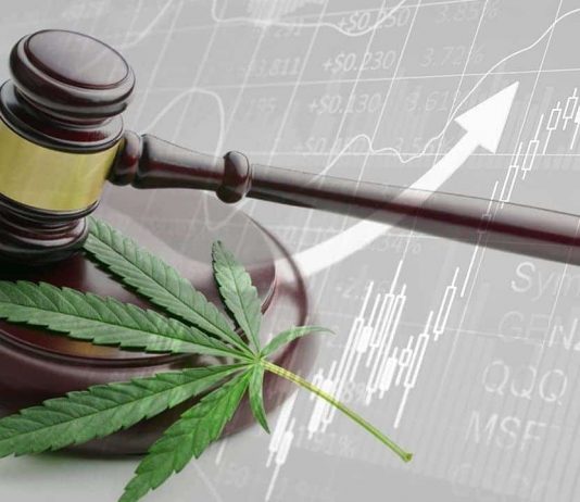 Driving Under The Influence Of Marijuana May Be Downright Dangerous legalized cannabis / marijuana