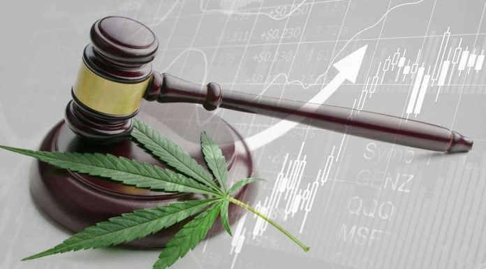 As Nations Legalize & Compete Marijuana Black Markets – Teenagers At A ‘High’ Risk (Article 1/3) legalized cannabis / marijuana