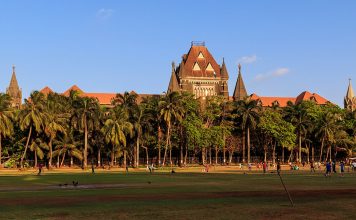 HC Directs Maharashtra Govt To List Steps Taken To Tackle Malnutrition Bombay High Court