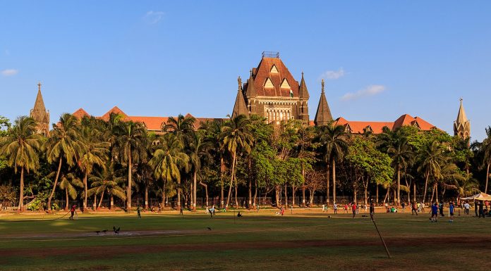 HC Directs Maharashtra Govt To List Steps Taken To Tackle Malnutrition Bombay High Court
