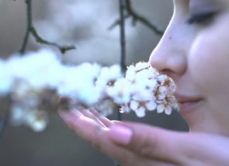 Connection Between Your Power Of Smell And Memory Revealed Power of smell and memory