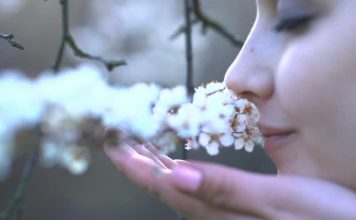 Connection Between Your Power Of Smell And Memory Revealed Power of smell and memory