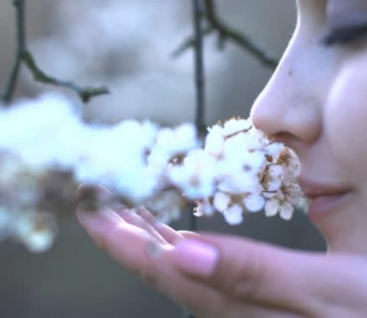 Connection Between Your Power Of Smell And Memory Revealed Power of smell and memory