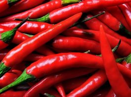weight loss chilli pepper