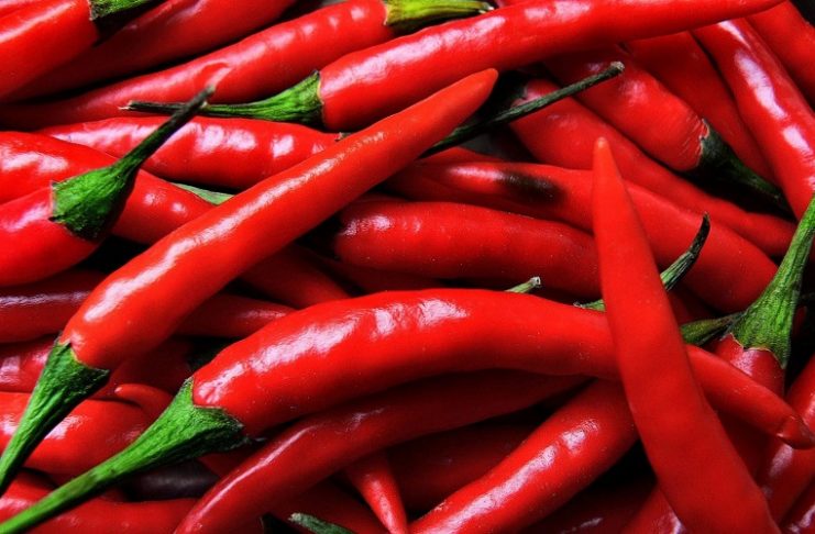 weight loss chilli pepper