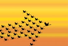 Personal Leadership – Key To Global Peace Personal Leadership - Key to World Peace