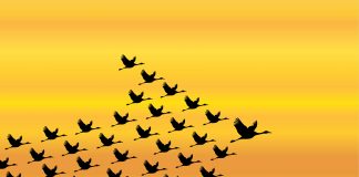 Personal Leadership – Key To Global Peace Personal Leadership - Key to World Peace