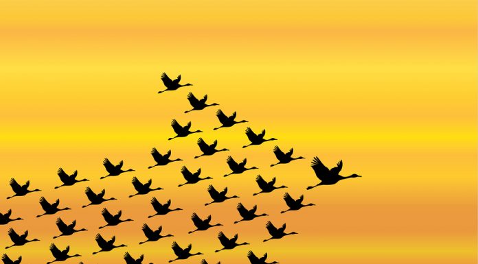 Personal Leadership – Key To Global Peace Personal Leadership - Key to World Peace