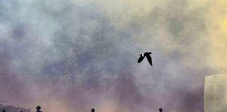 Role Our Educators Need To Play Helping Our Armed Forces National Cadet Corps - NCC