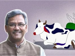 Cows Exhale Oxygen Theory - Trivendra Rawat